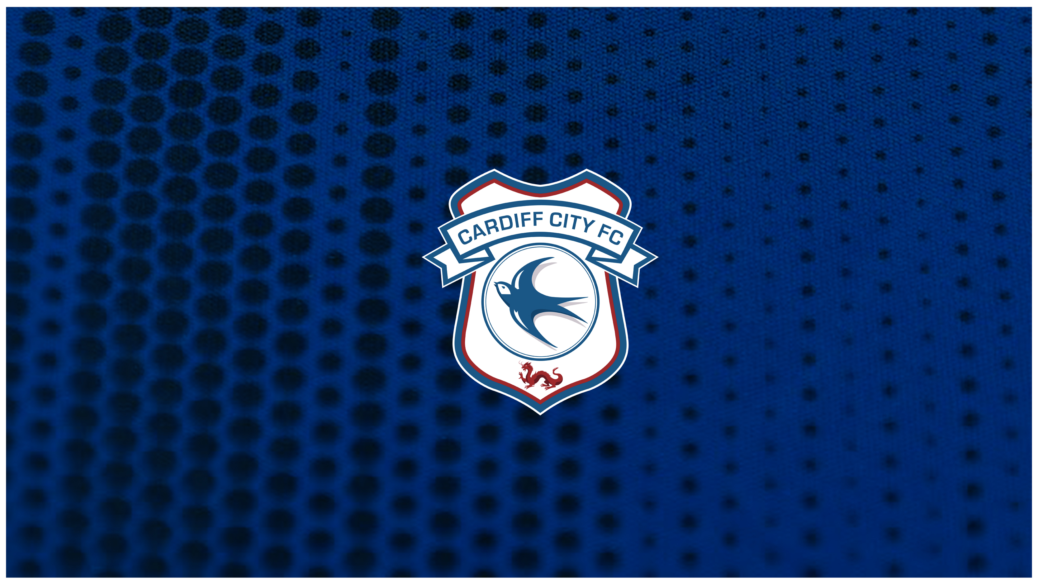 20 Facts About Cardiff City 