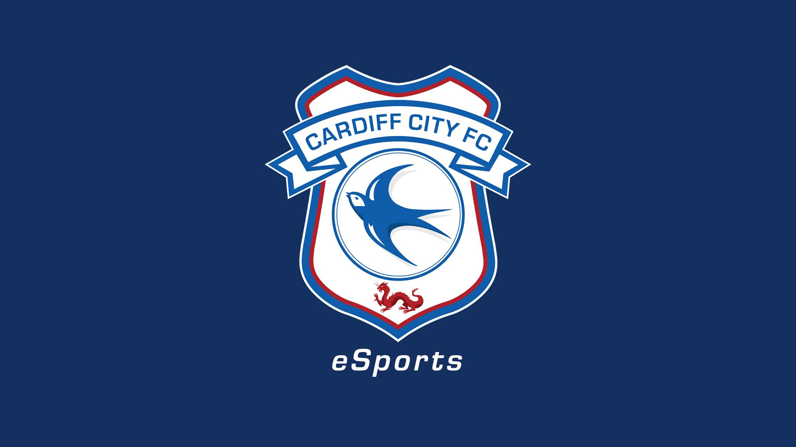 Bluebirds launch official eSports team | Cardiff