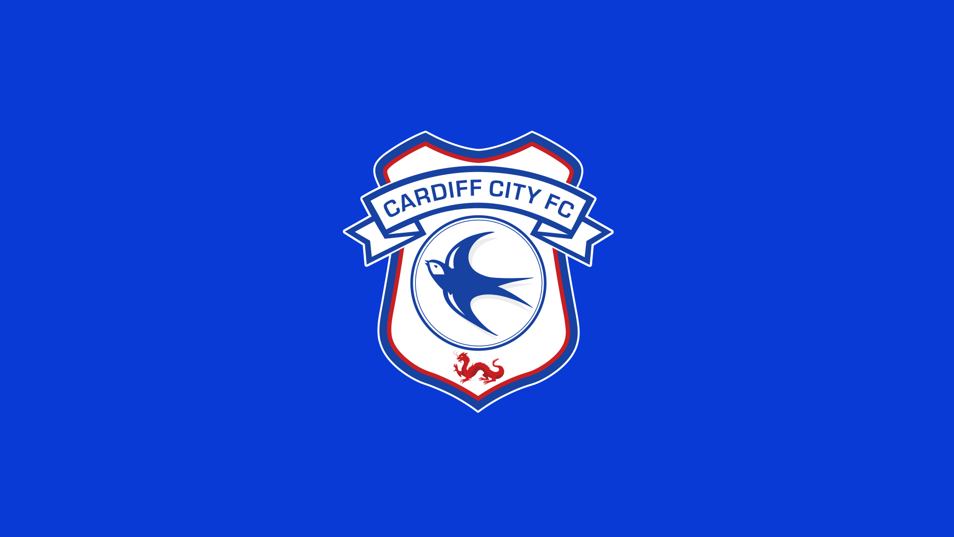 Cardiff City FC  Club History 