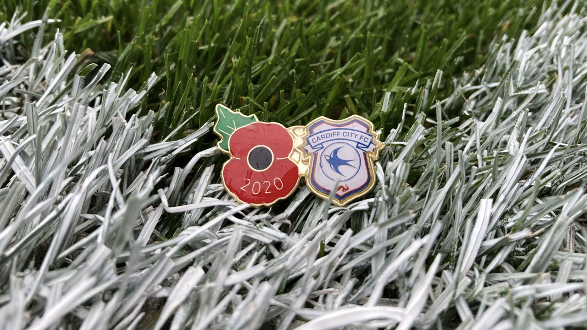 Our 2020 Poppy is now available...