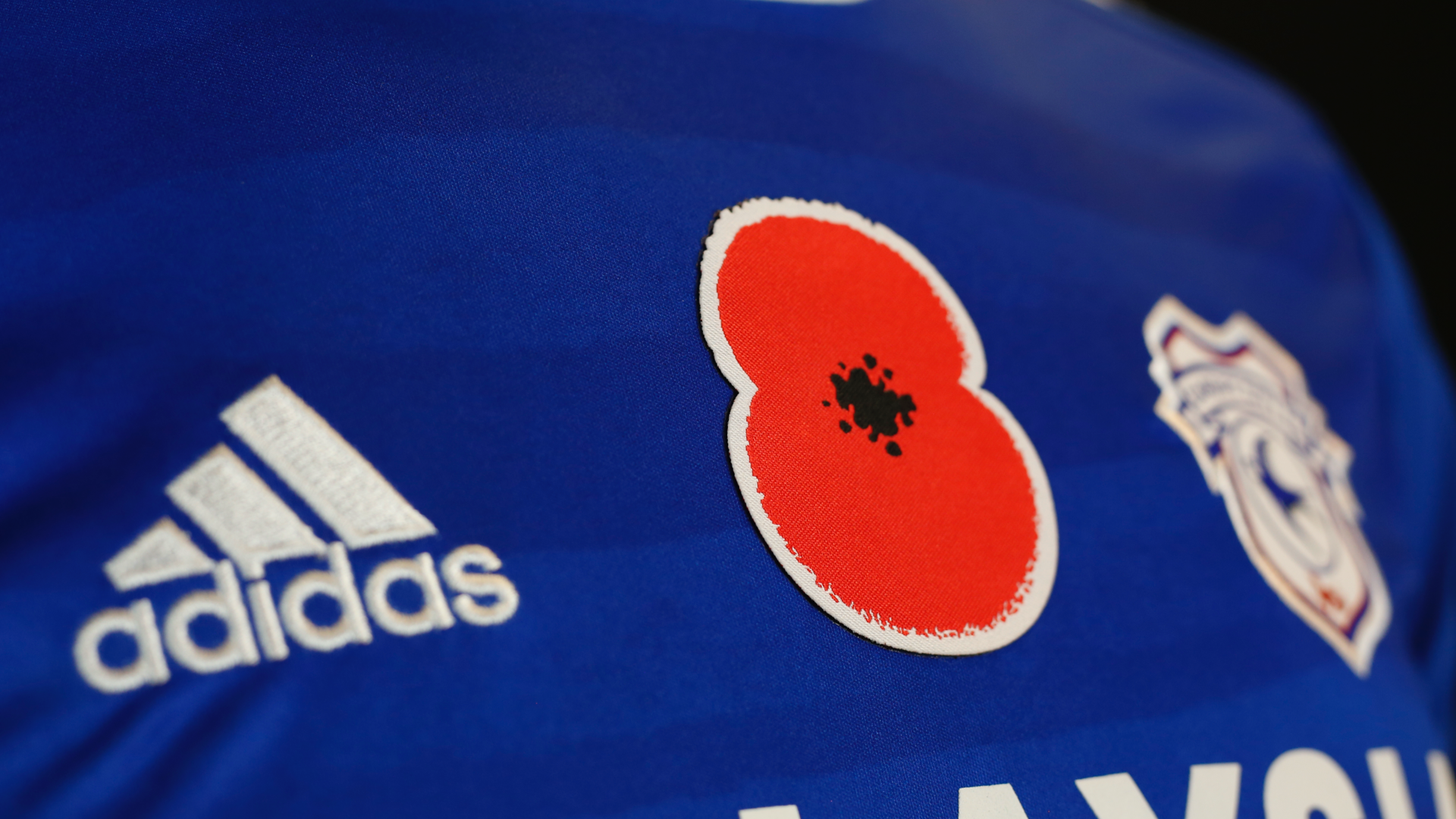 The Bluebirds show their support for the Royal British Legion...