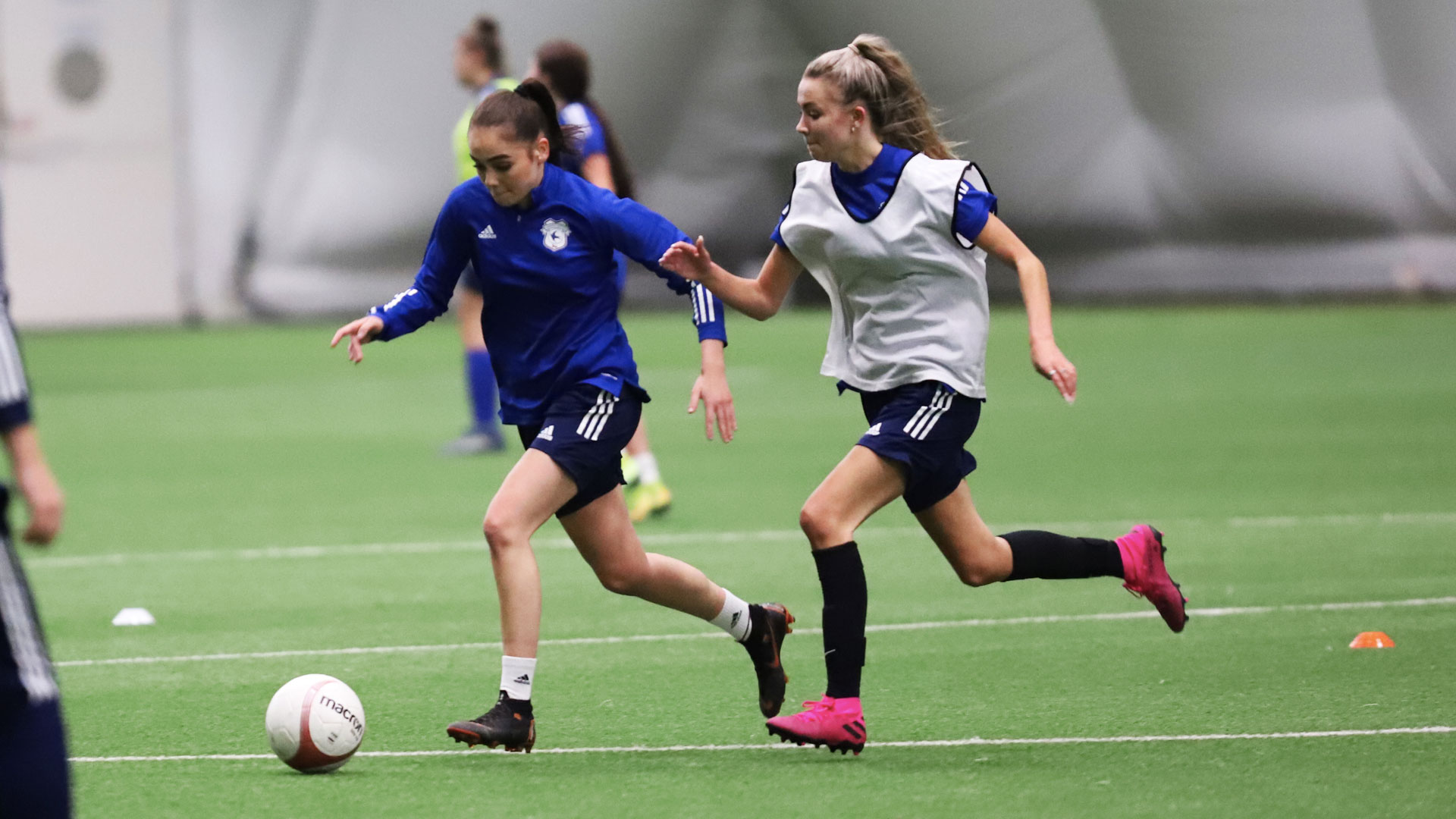 The Bluebirds in training...