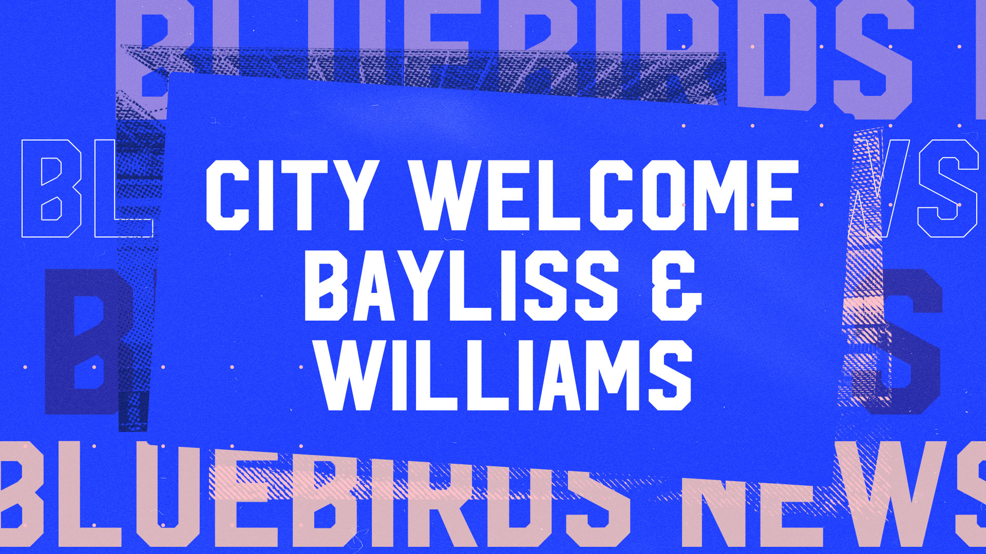 There's only two Cardiff Citys: How to tell Bluebirds Women from Dragon  Ladies - The Cardiffian