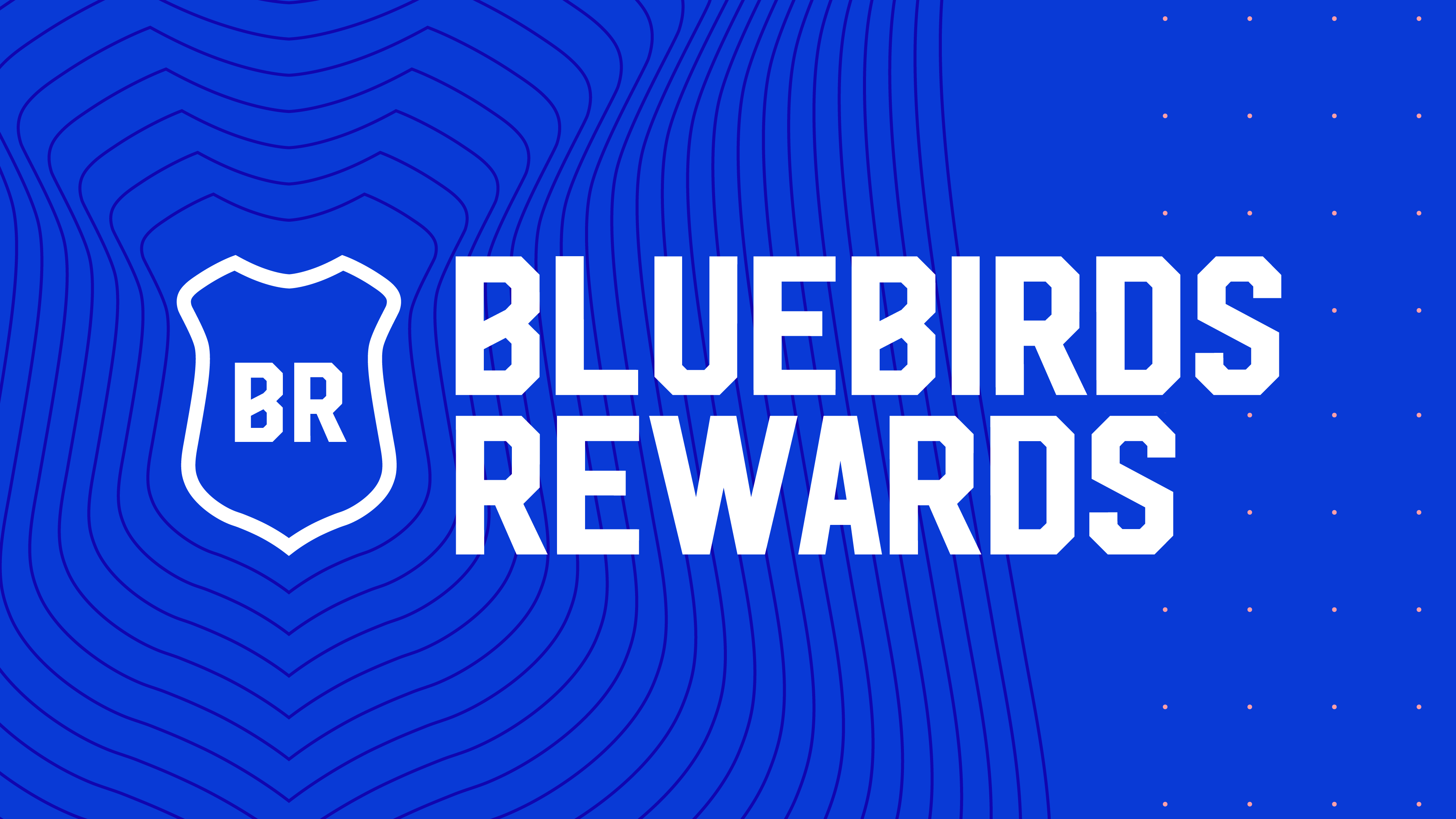 Join Us In The Bluebirds Forum - Vital Cardiff