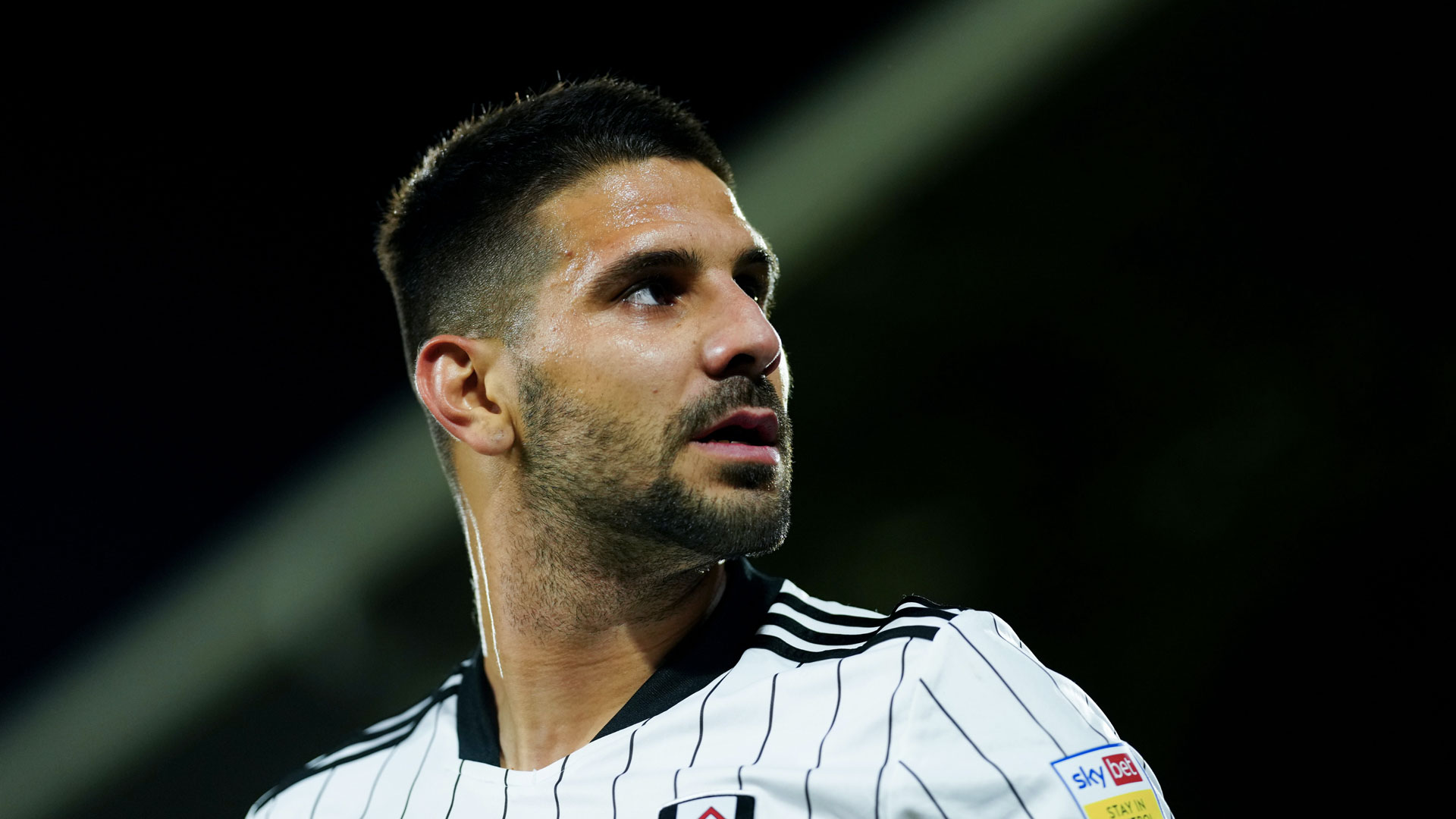 Fulham forward Mitrovic...