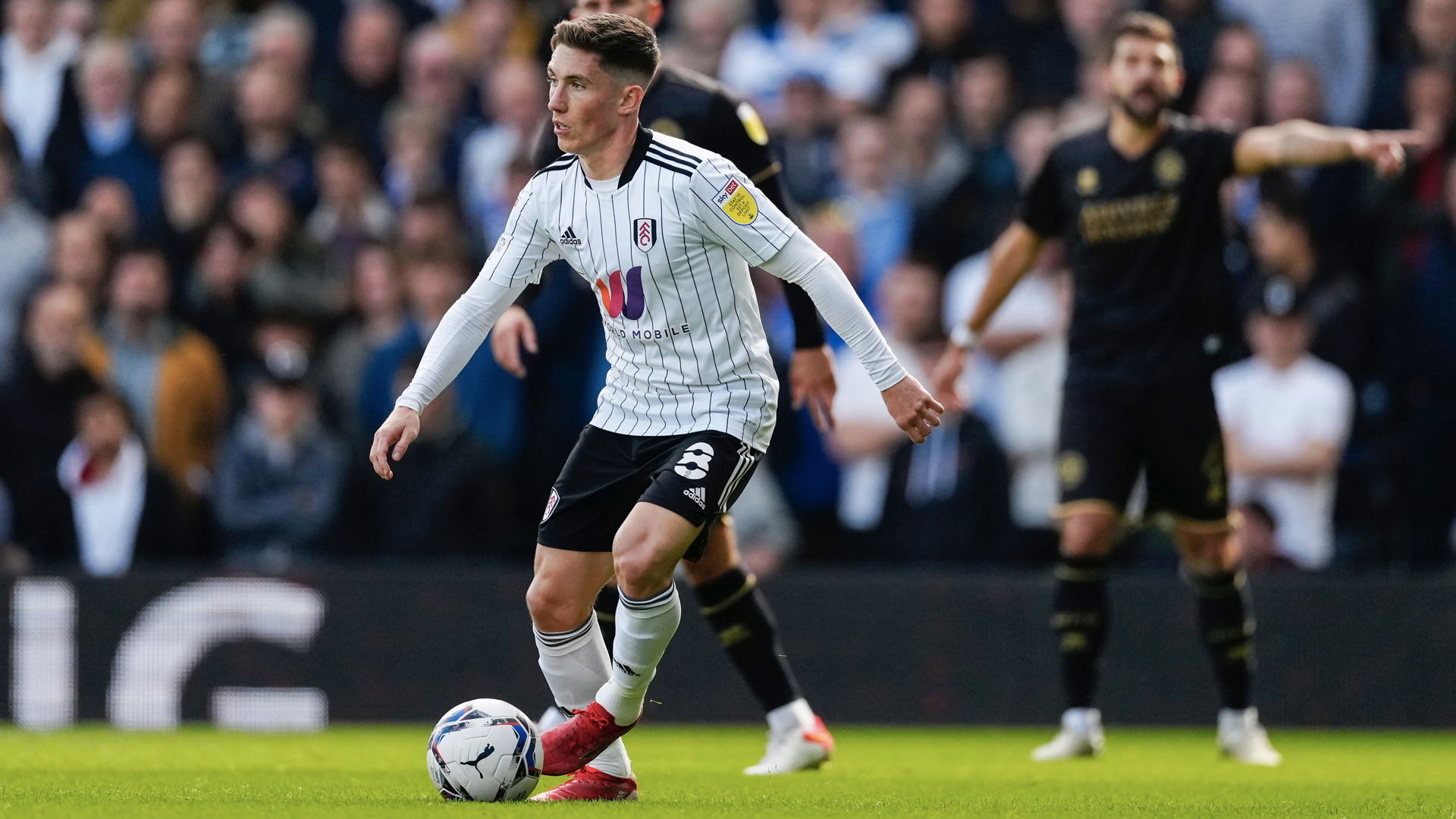 Harry Wilson in action for Fulham...