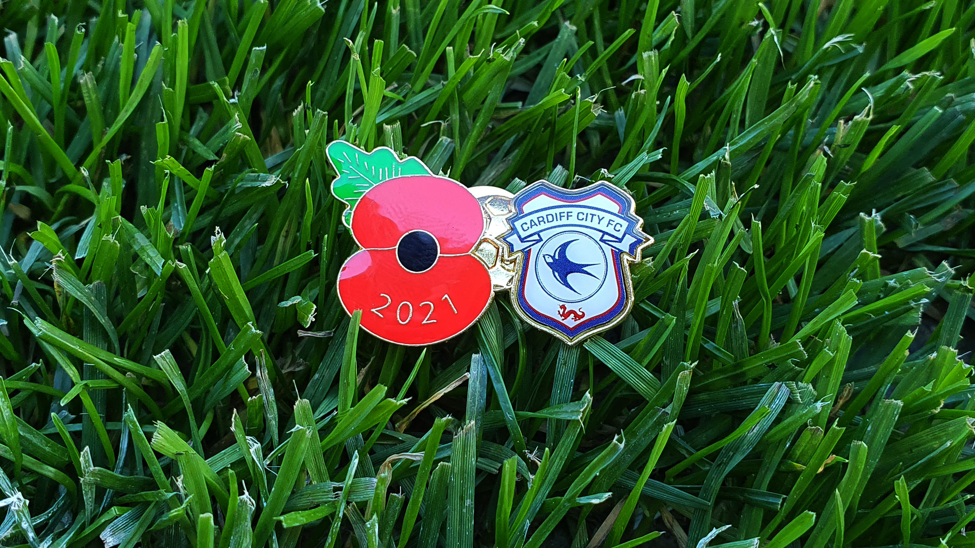 2021 Poppy Appeal badge now on sale...