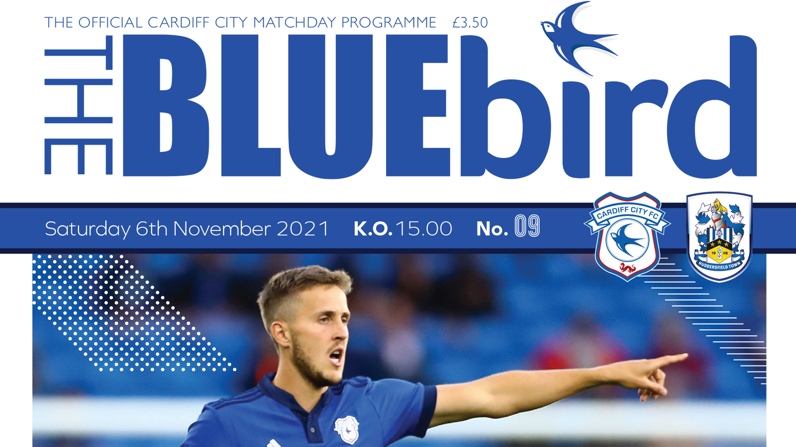 Bluebirds cover Vaulks