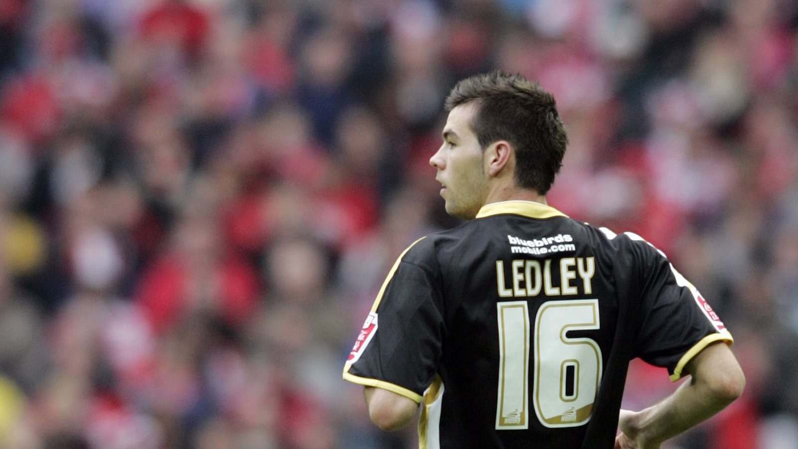 Joe Ledley