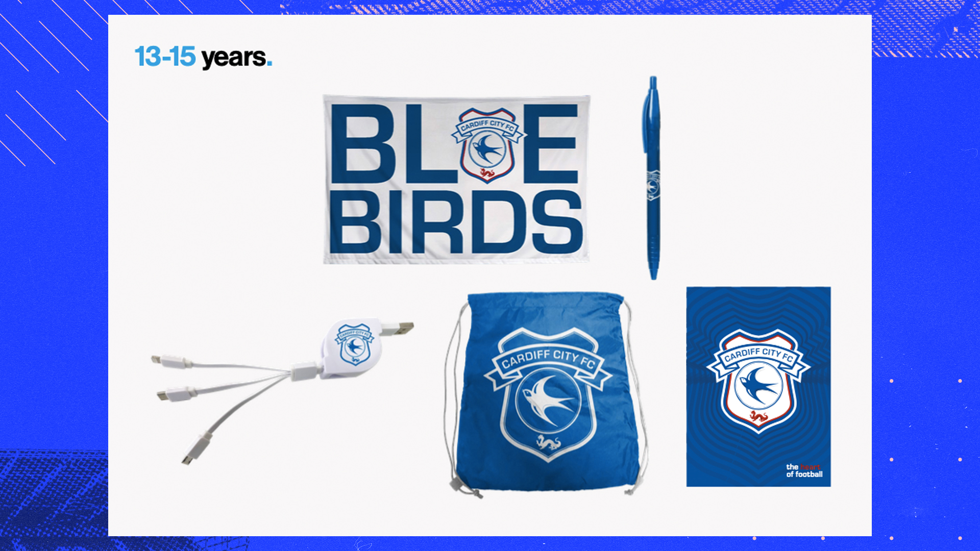 Join Us In The Bluebirds Forum - Vital Cardiff