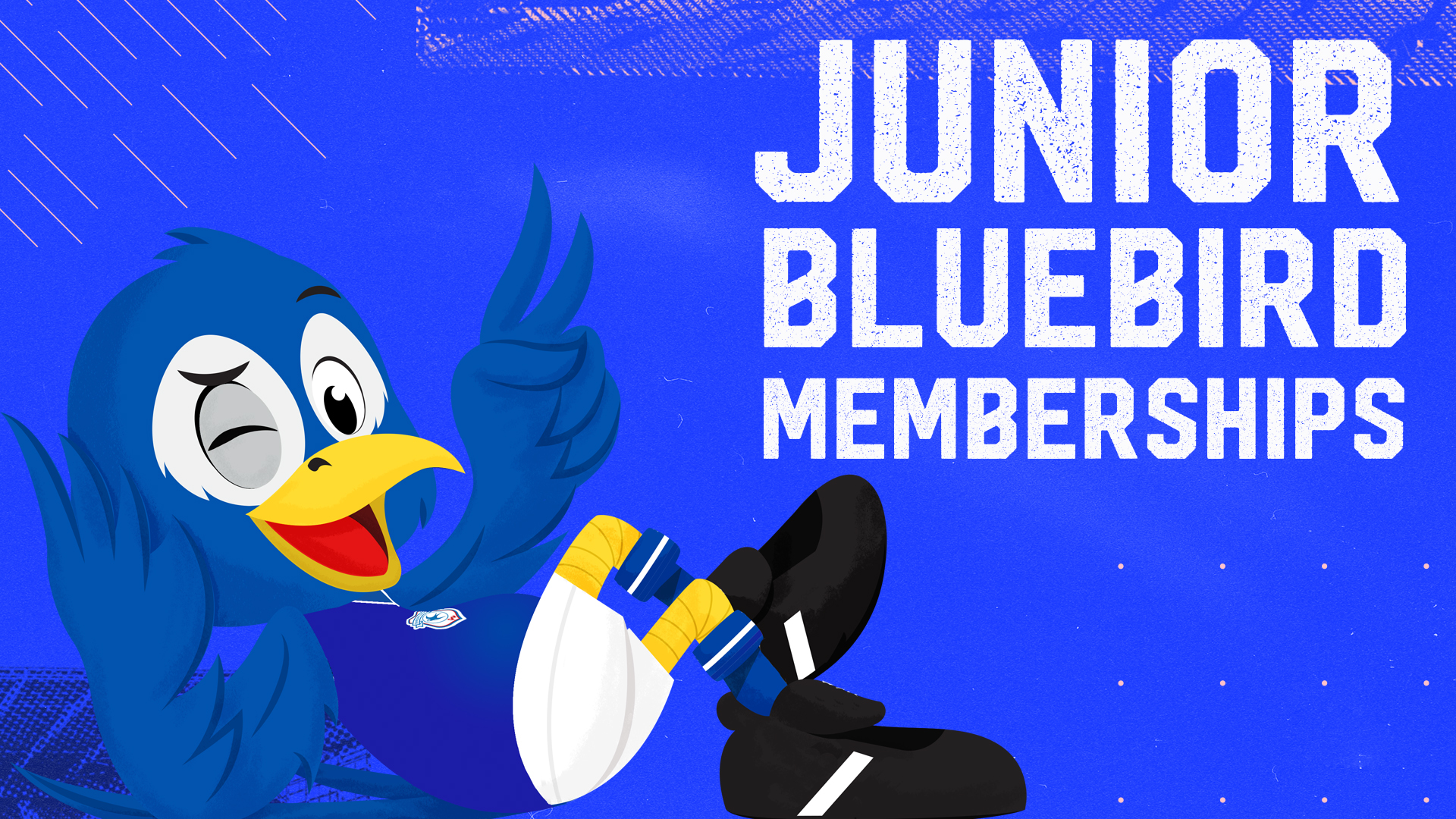 Junior Bluebird Memberships