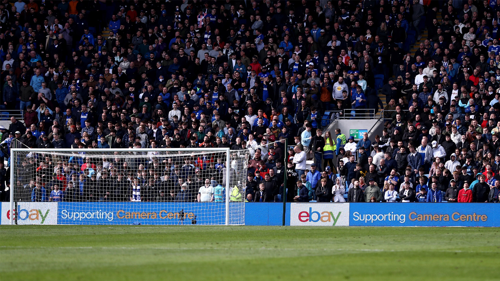 Cardiff City supporters