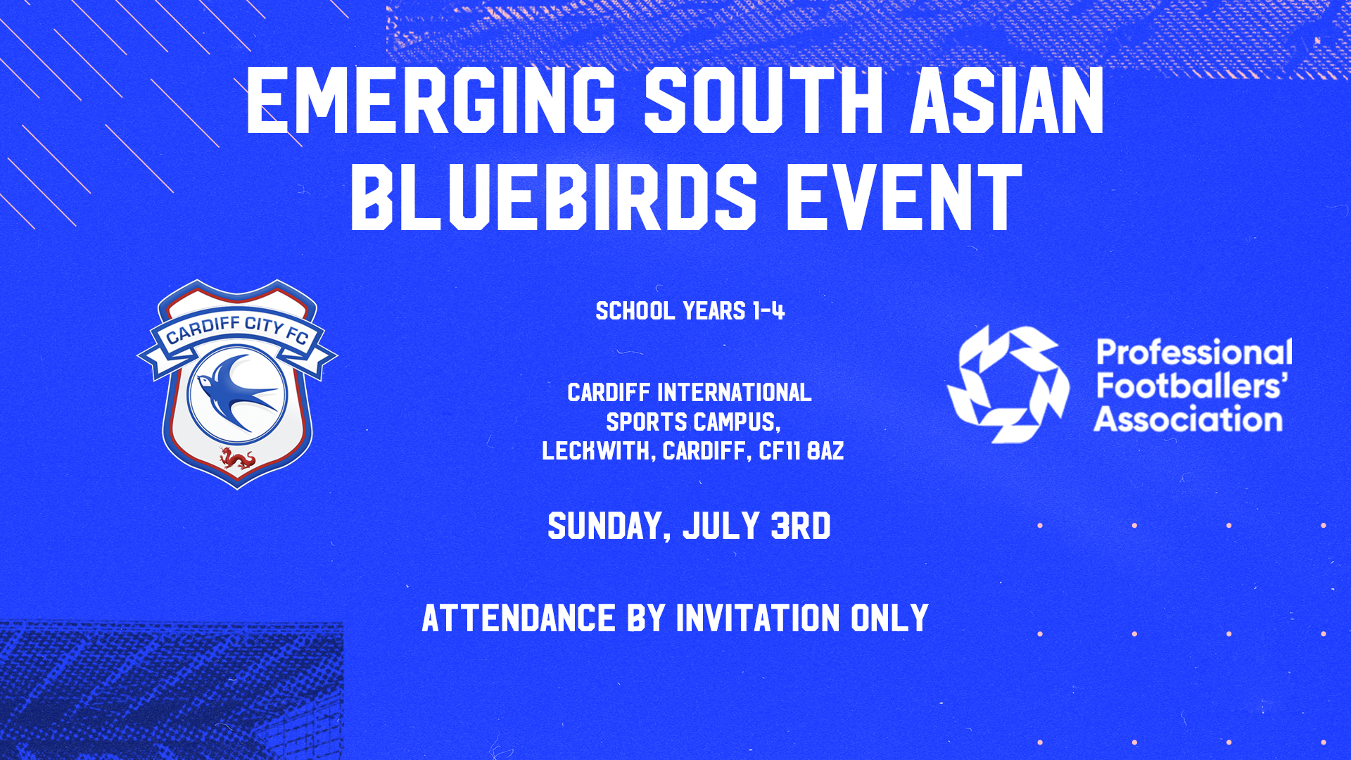 Emerging South Asian Bluebirds Information