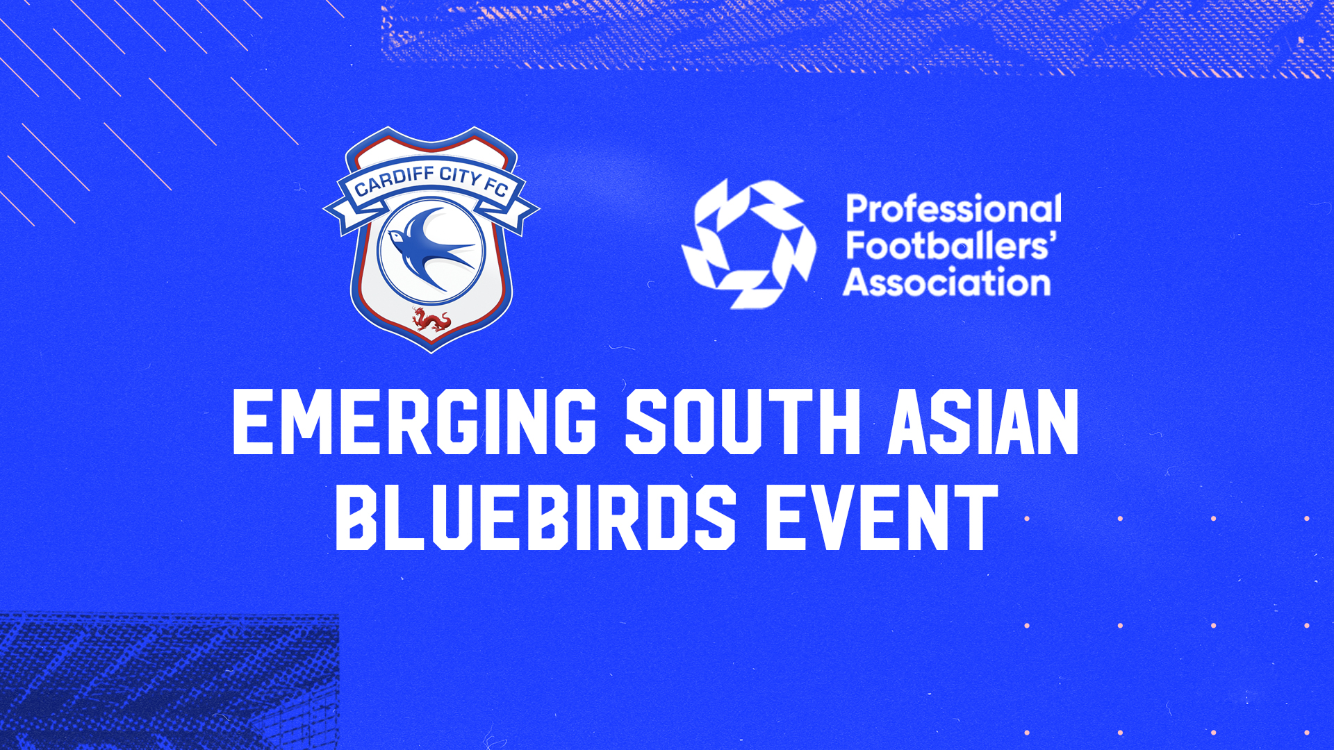 Emerging South Asian Bluebirds