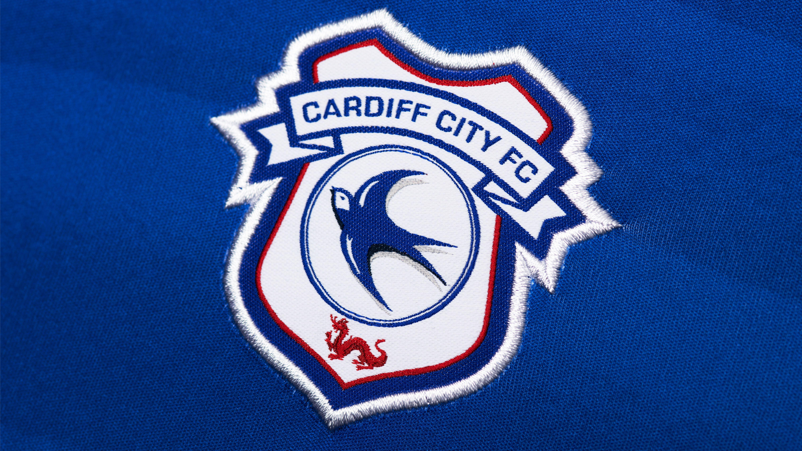 Cardiff City FC 
