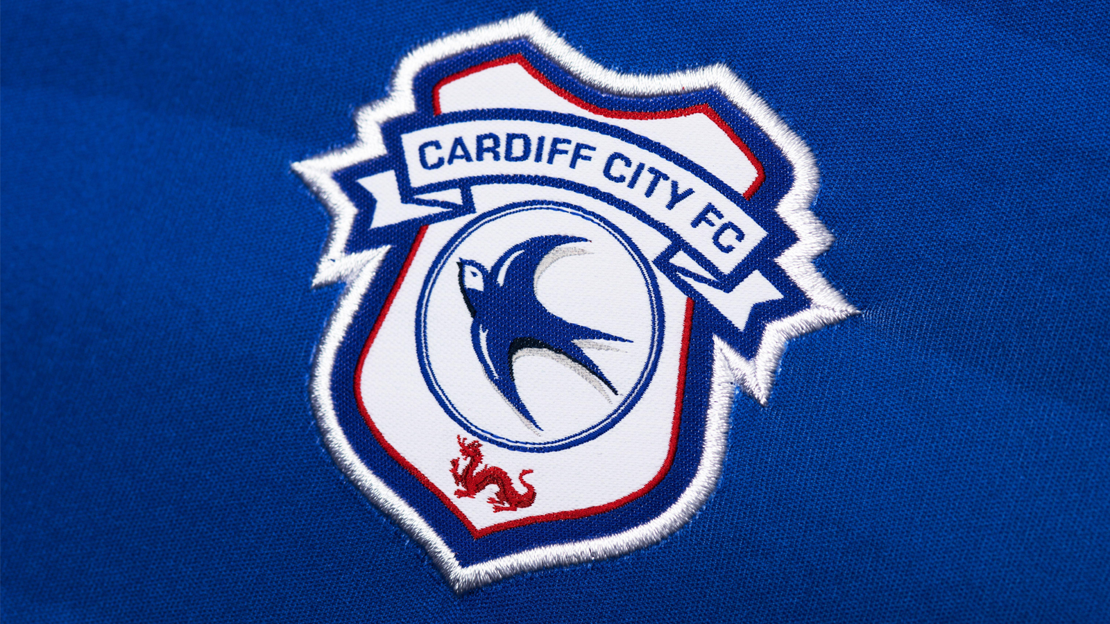 CARDIFF CITY FC  Cardiff city fc, Cardiff city, ? logo