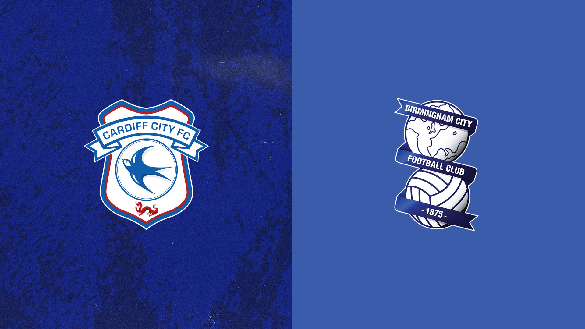 The Bluebirds vs. the Blues this Saturday...