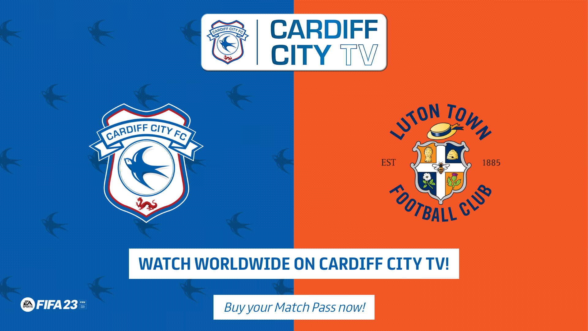 Luton Cardiff City TV