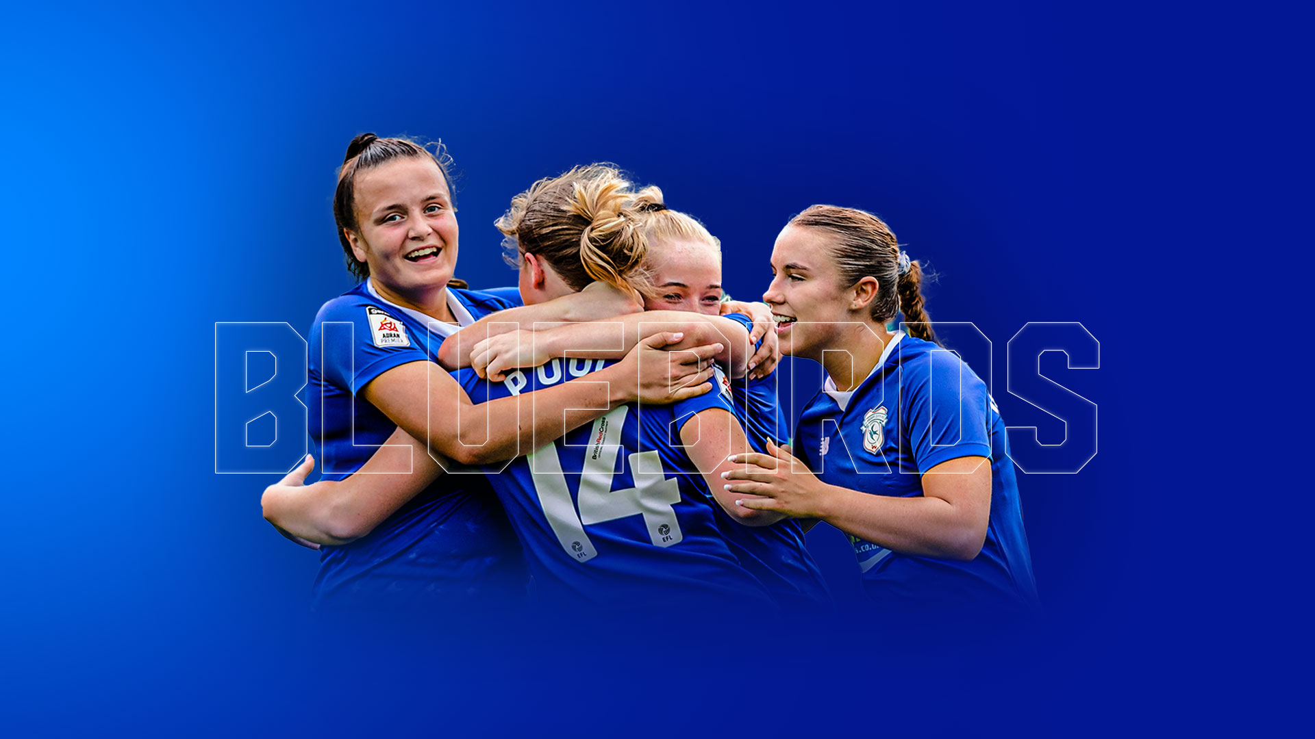 There's only two Cardiff Citys: How to tell Bluebirds Women from Dragon  Ladies - The Cardiffian