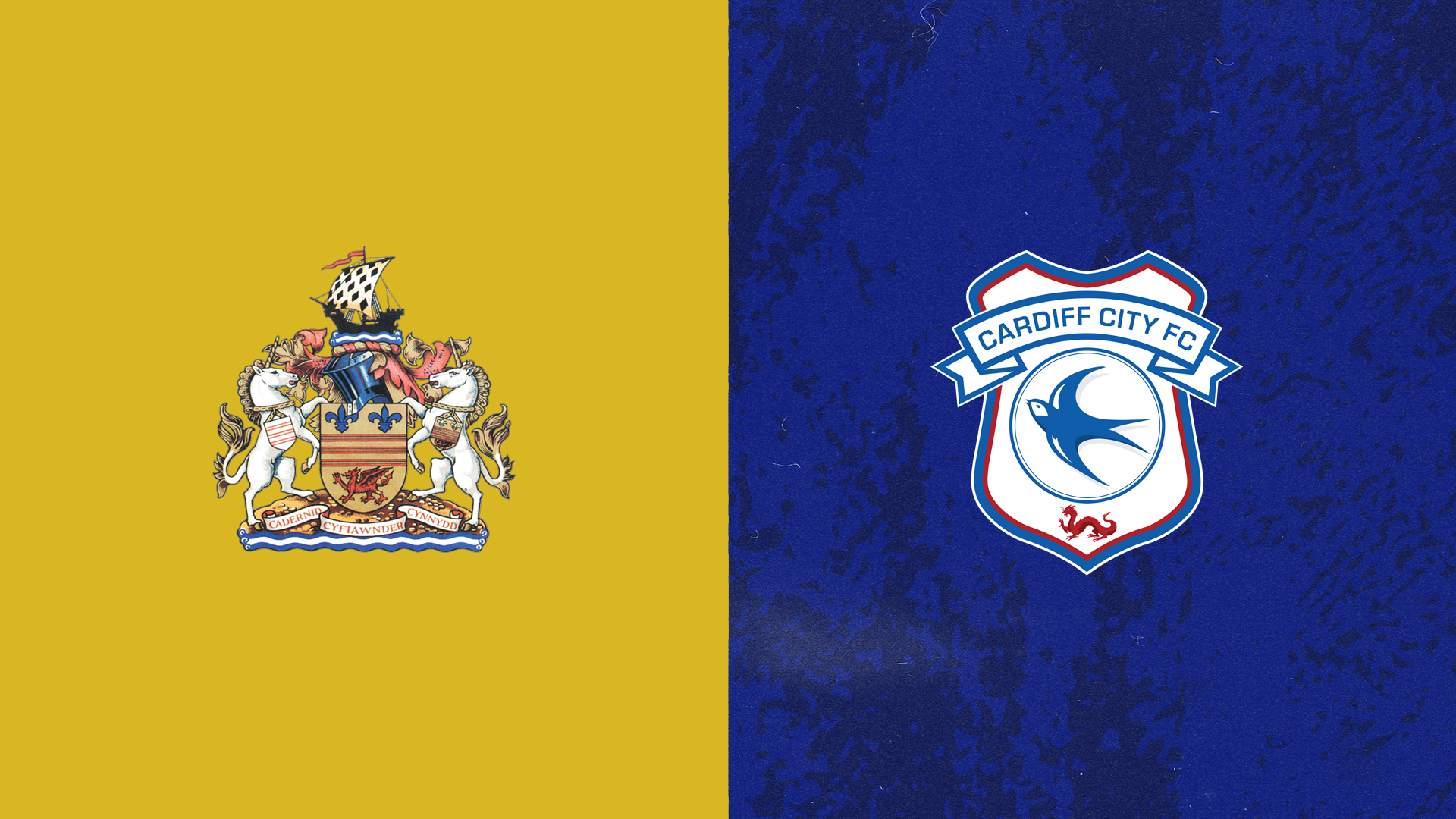 LIVE FOOTBALL: Cardiff City v Barry Town United