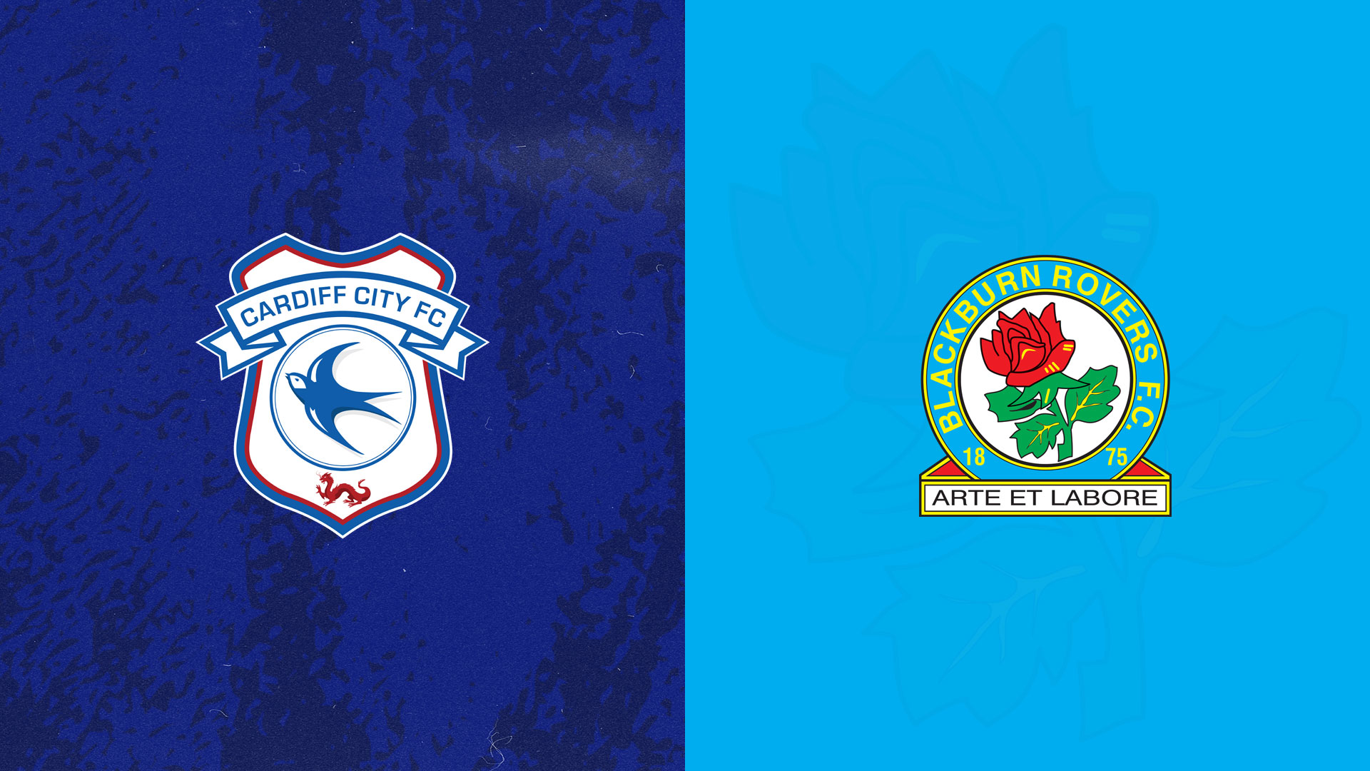 The Bluebirds host Blackburn Rovers on Tuesday night...
