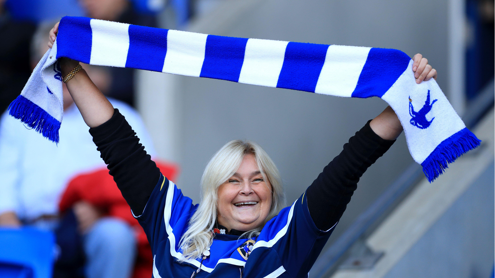 Cardiff City supporter