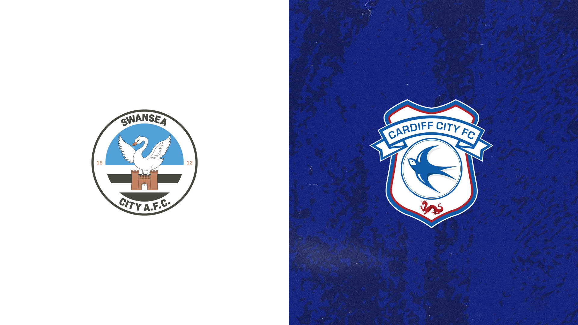 The Bluebirds visit Swansea City on Sunday afternoon...