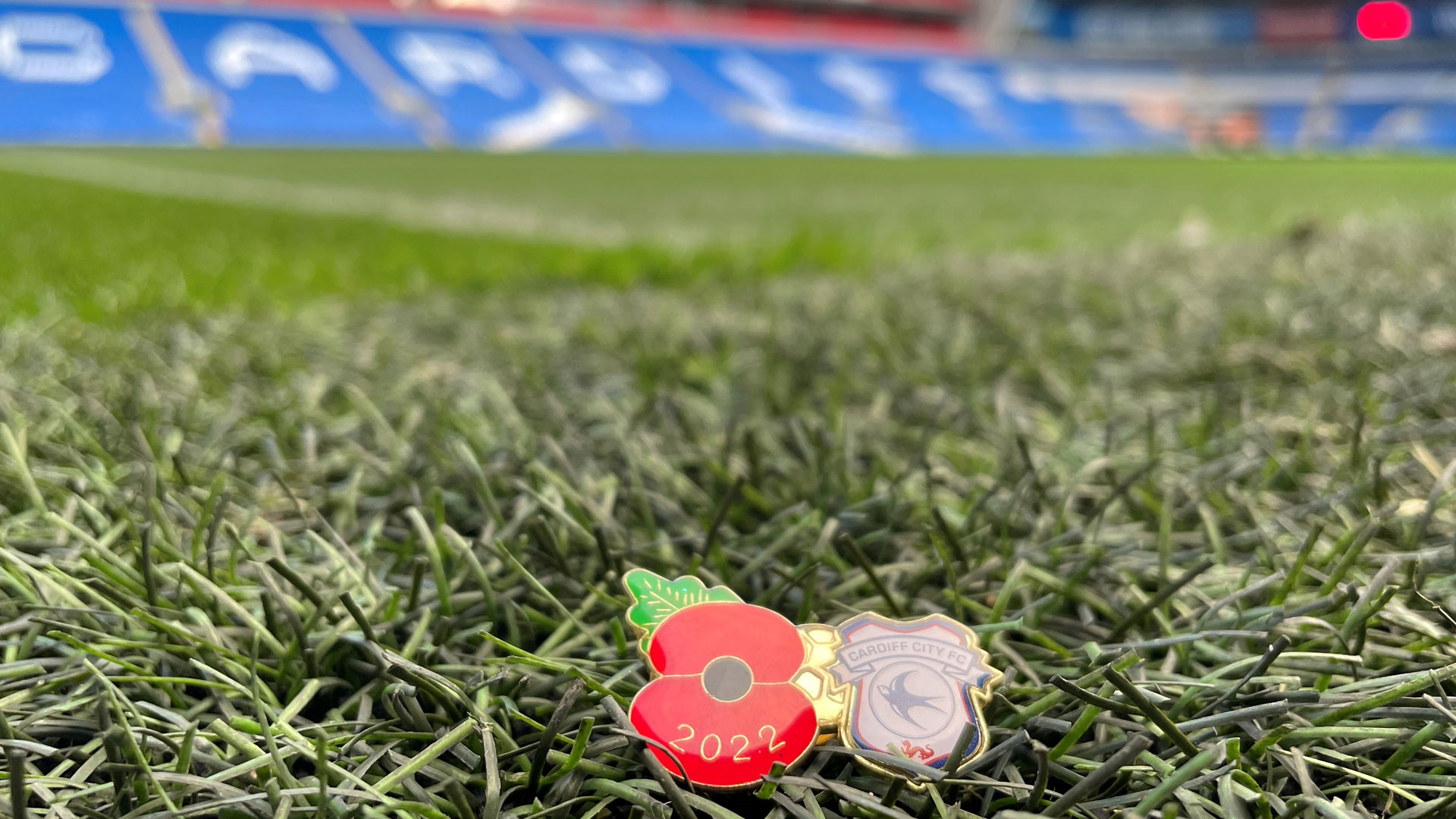 Poppy Badges are available from Cardiff City FC SuperStore...