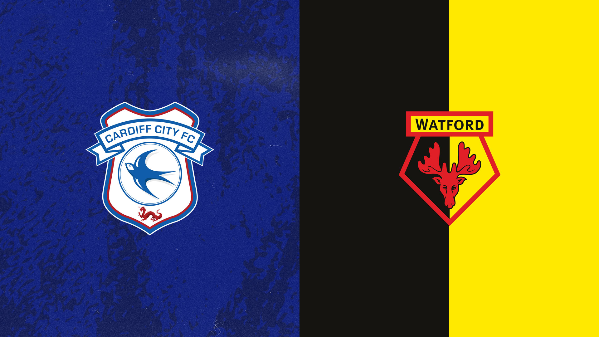 The Bluebirds face Watford on Wednesday night...