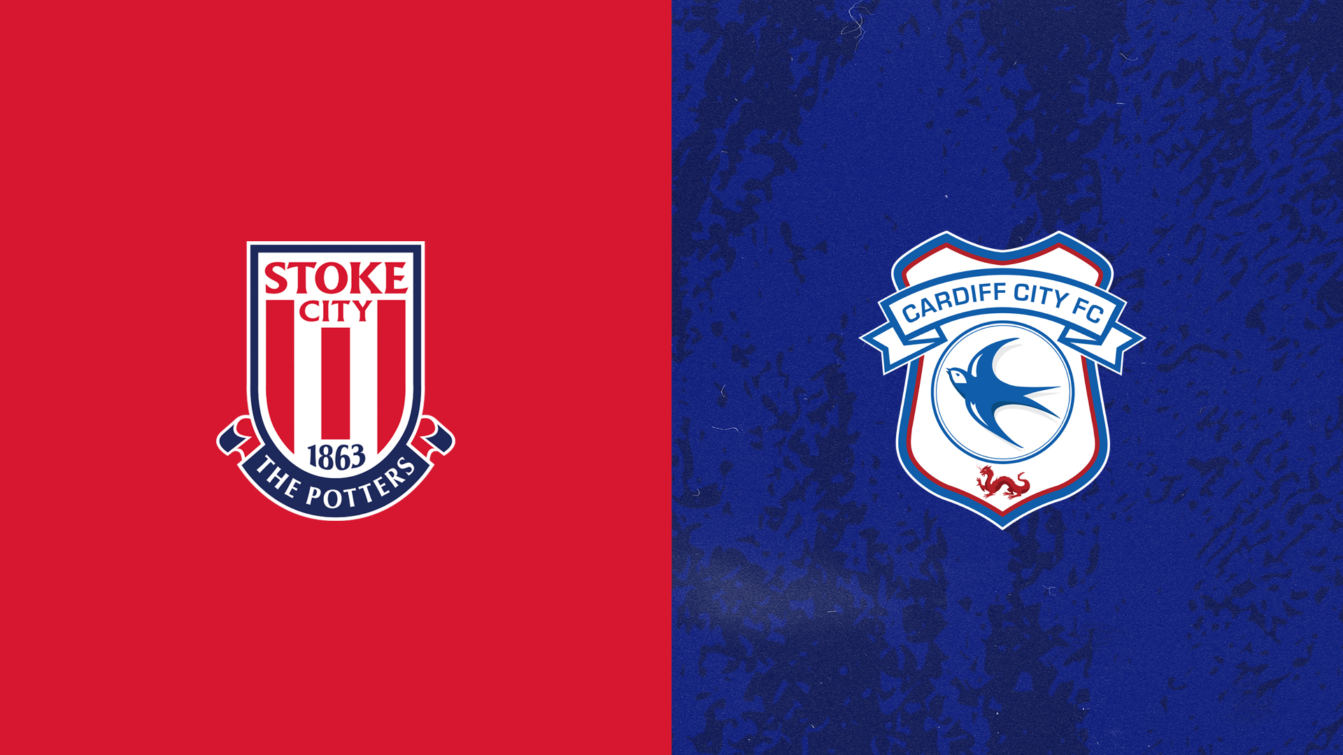 Stoke City FC - Match Pack