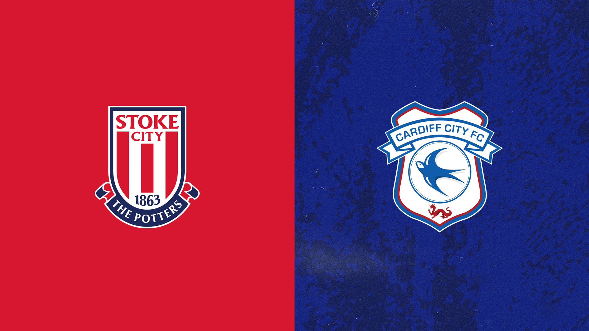 Stoke City vs. Cardiff City