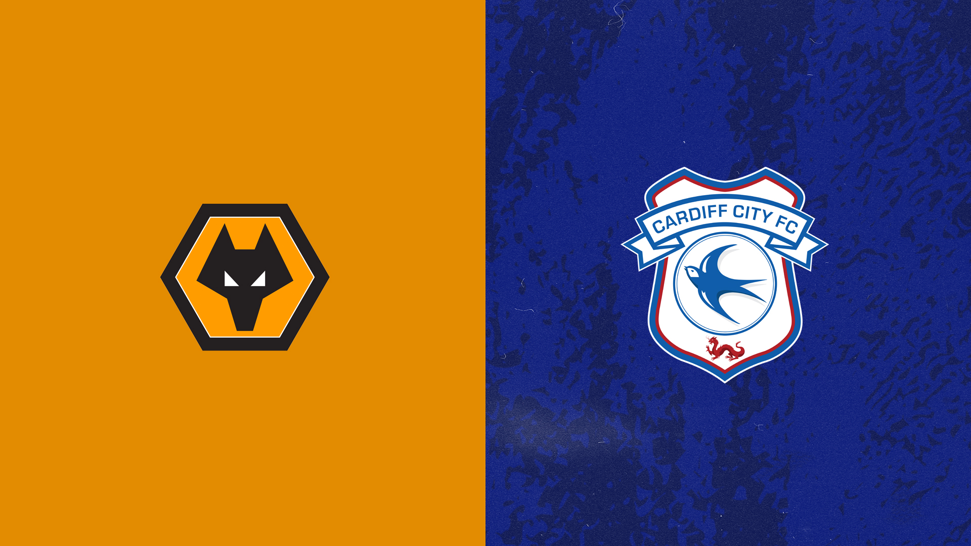 Wolves preview