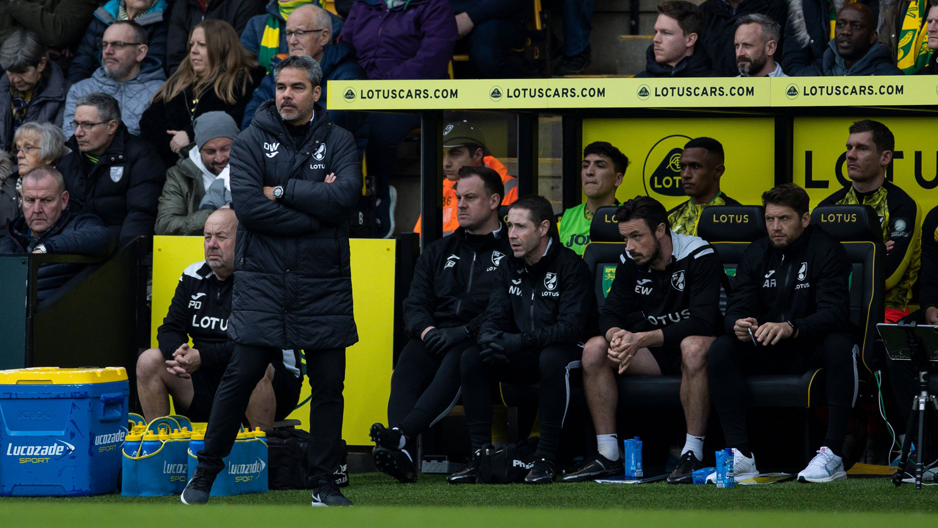 Norwich City boss David Wagner...