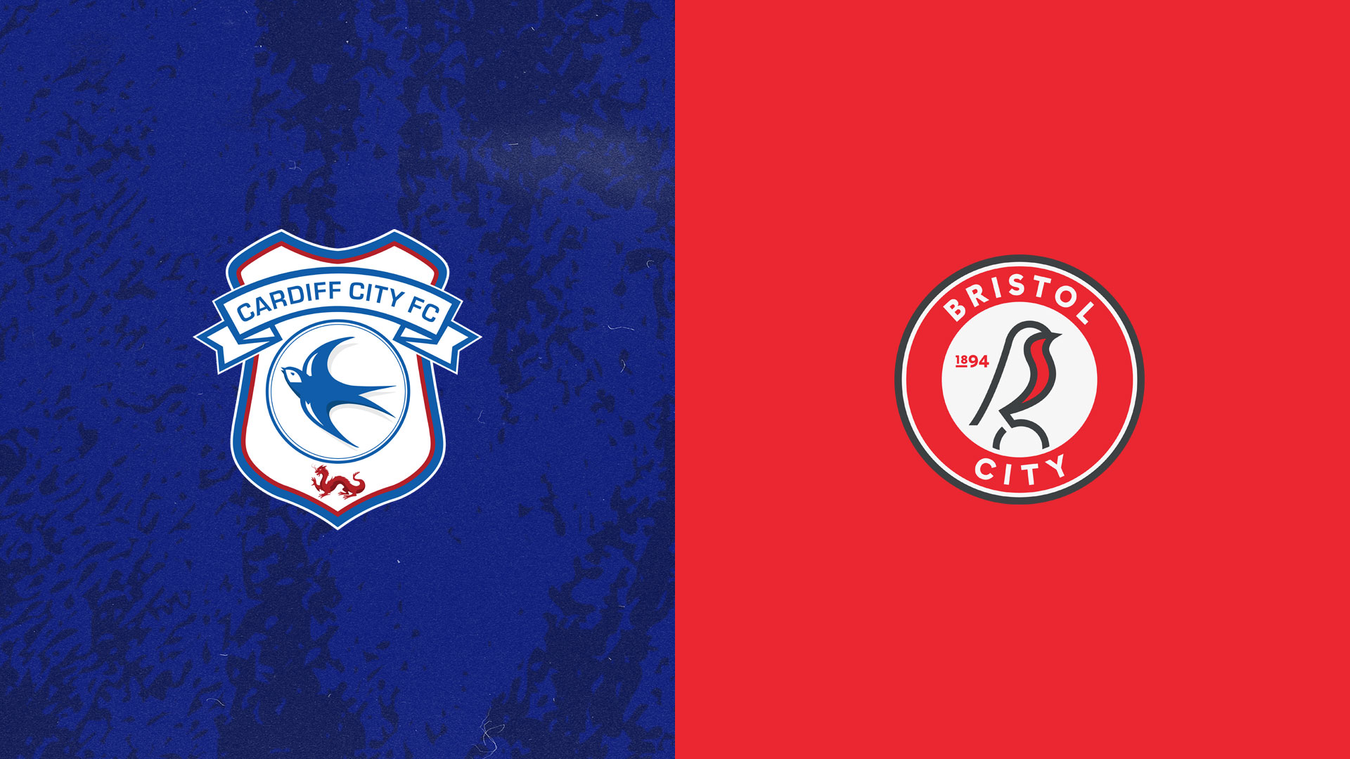 The Bluebirds host Bristol City in the Severnside derby this weekend...