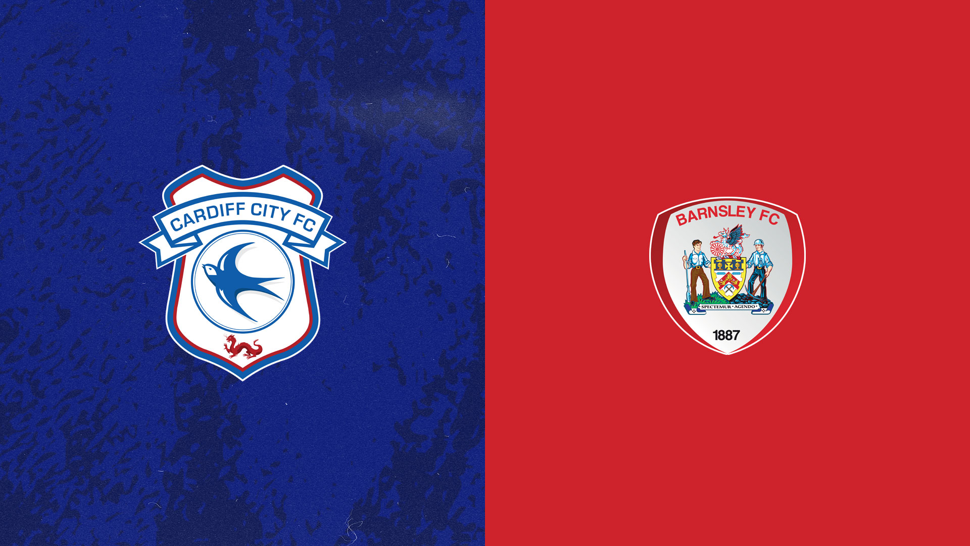 The Bluebirds face Barnsley this weekend...