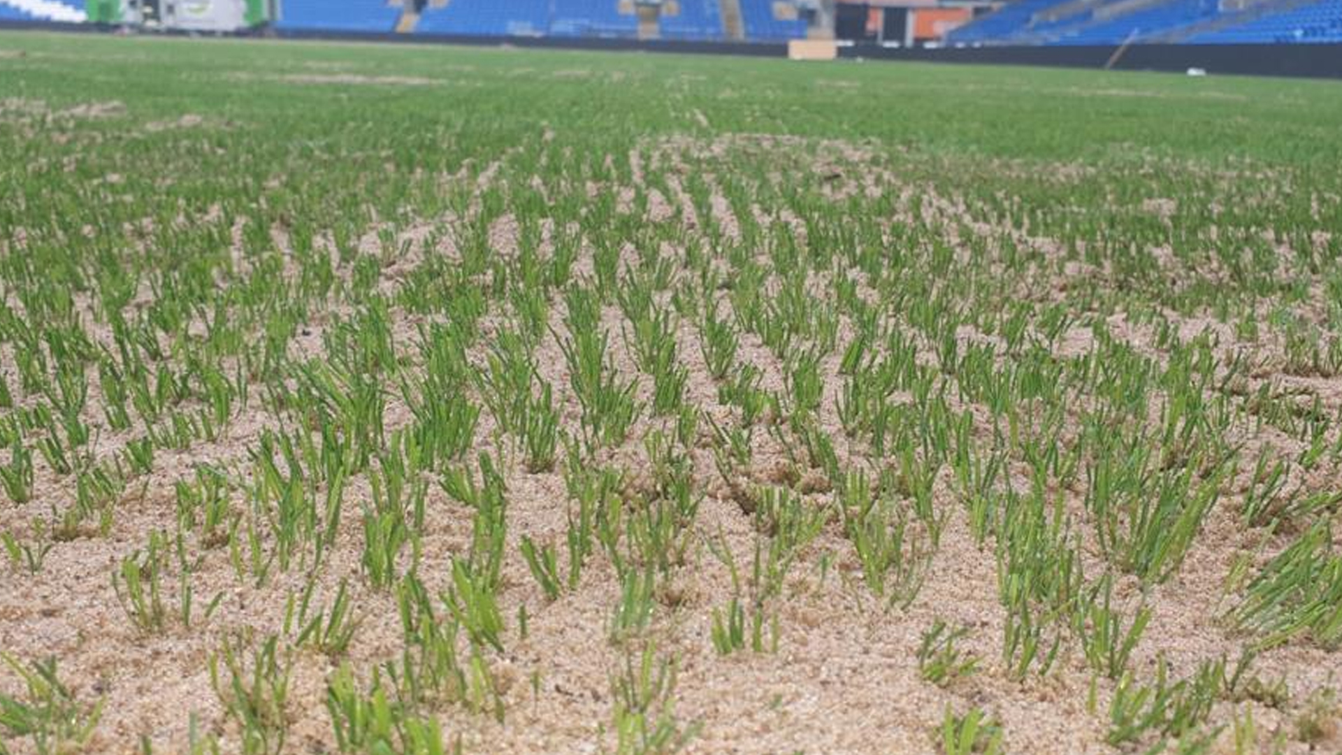 Cardiff City Stadium, Work complete as new pitch installed