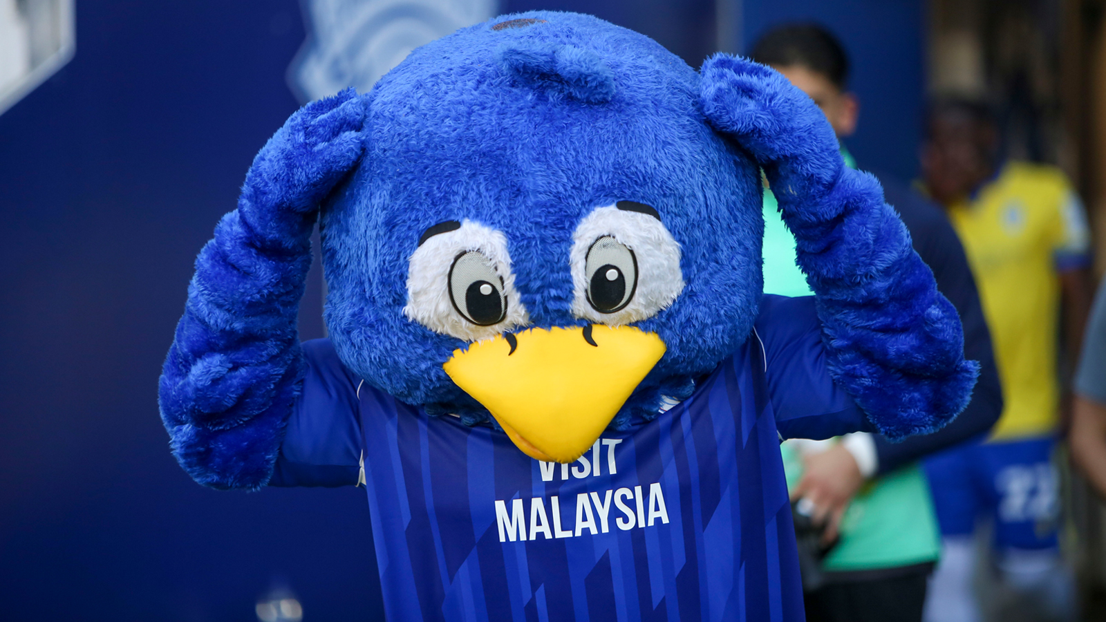 Cardiff City FC Official Mascot Package (2021/22) on Vimeo