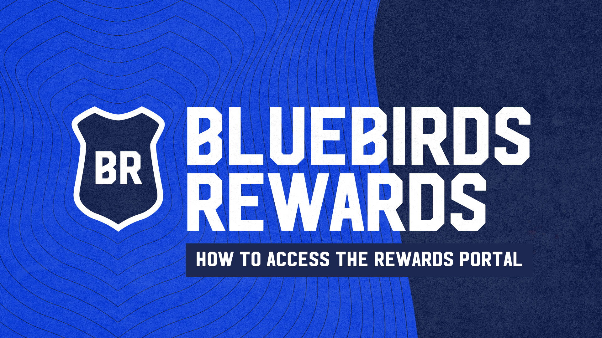 How to access Bluebirds Rewards