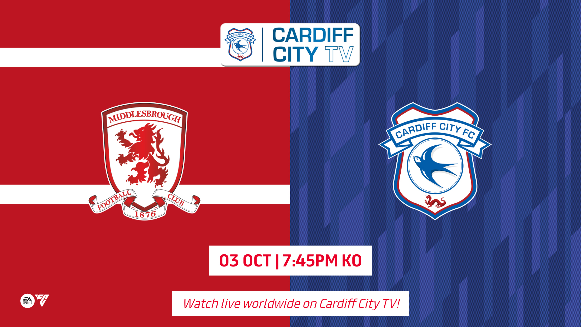 cardiff city afc