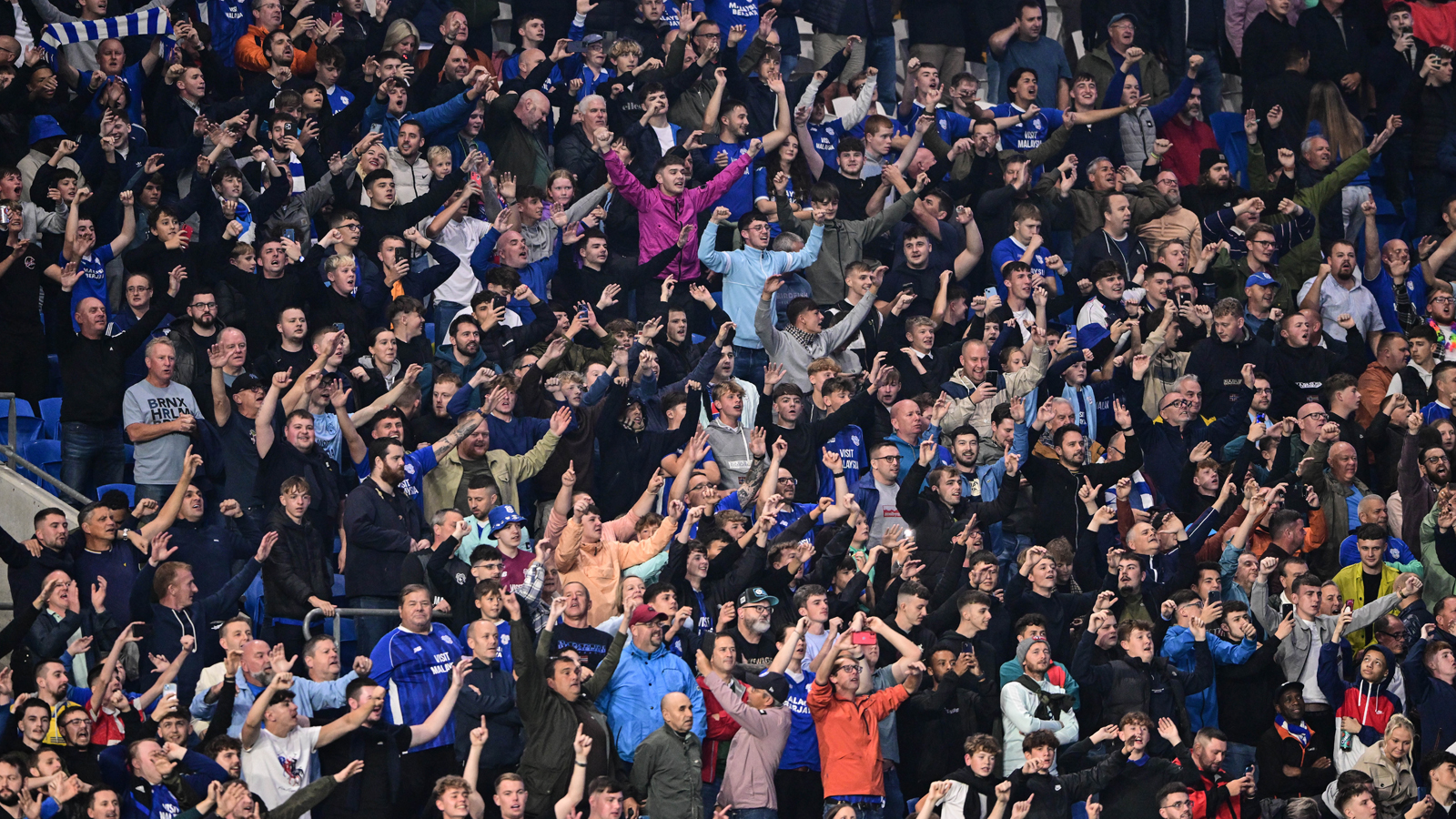 Cardiff City supporters