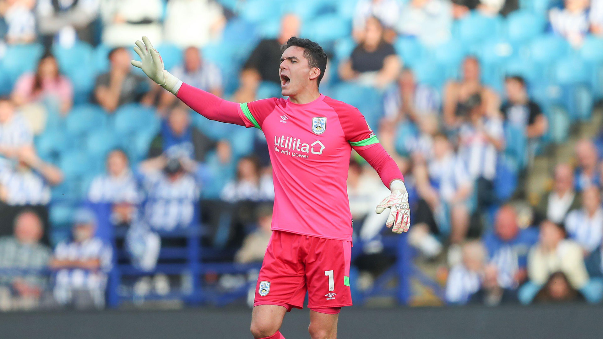 Lee Nicholls in action for Huddersfield Town