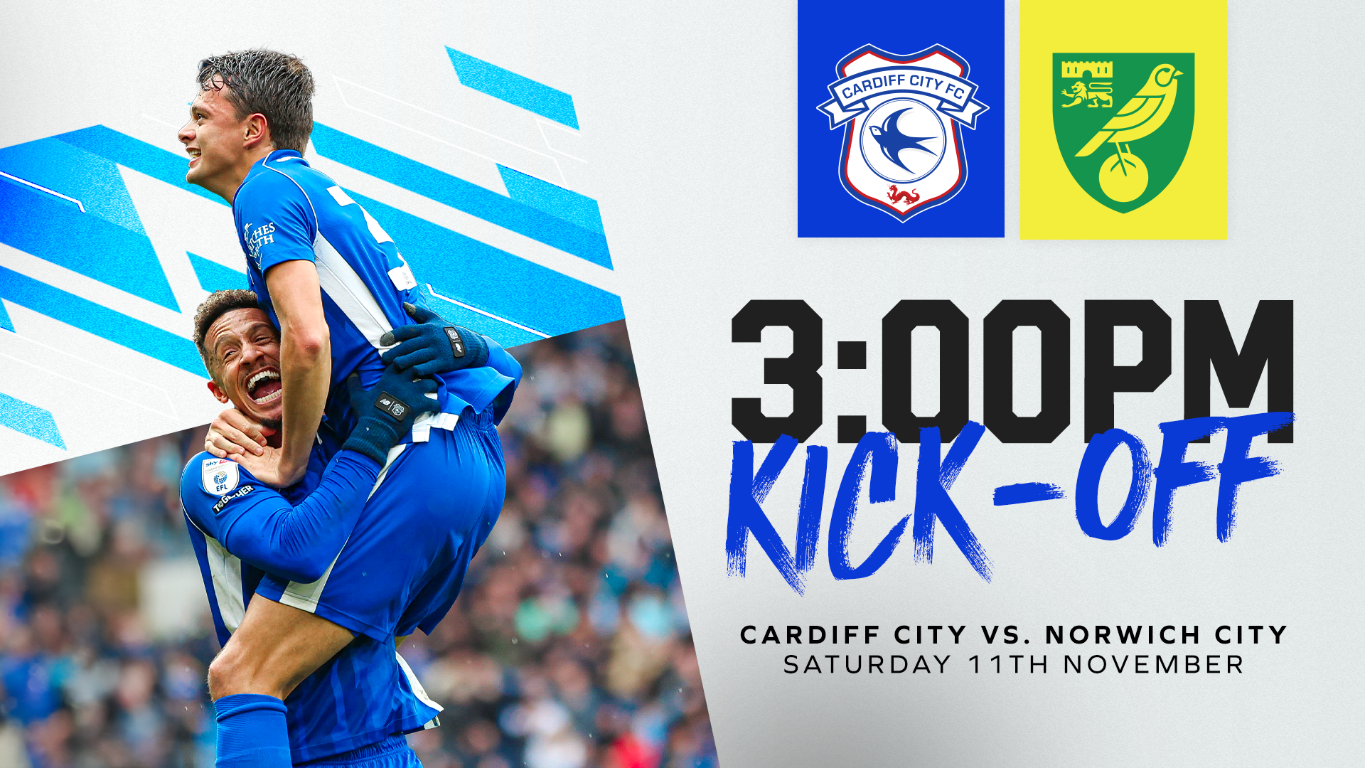 THE CITY VIEW, Cardiff City vs Norwich City