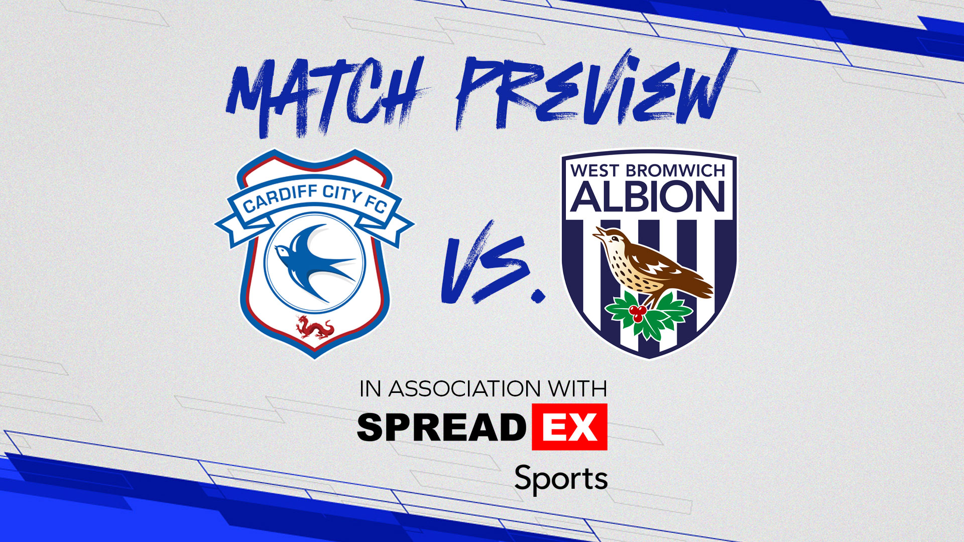 Matchday 18, Cardiff City v Albion Preview