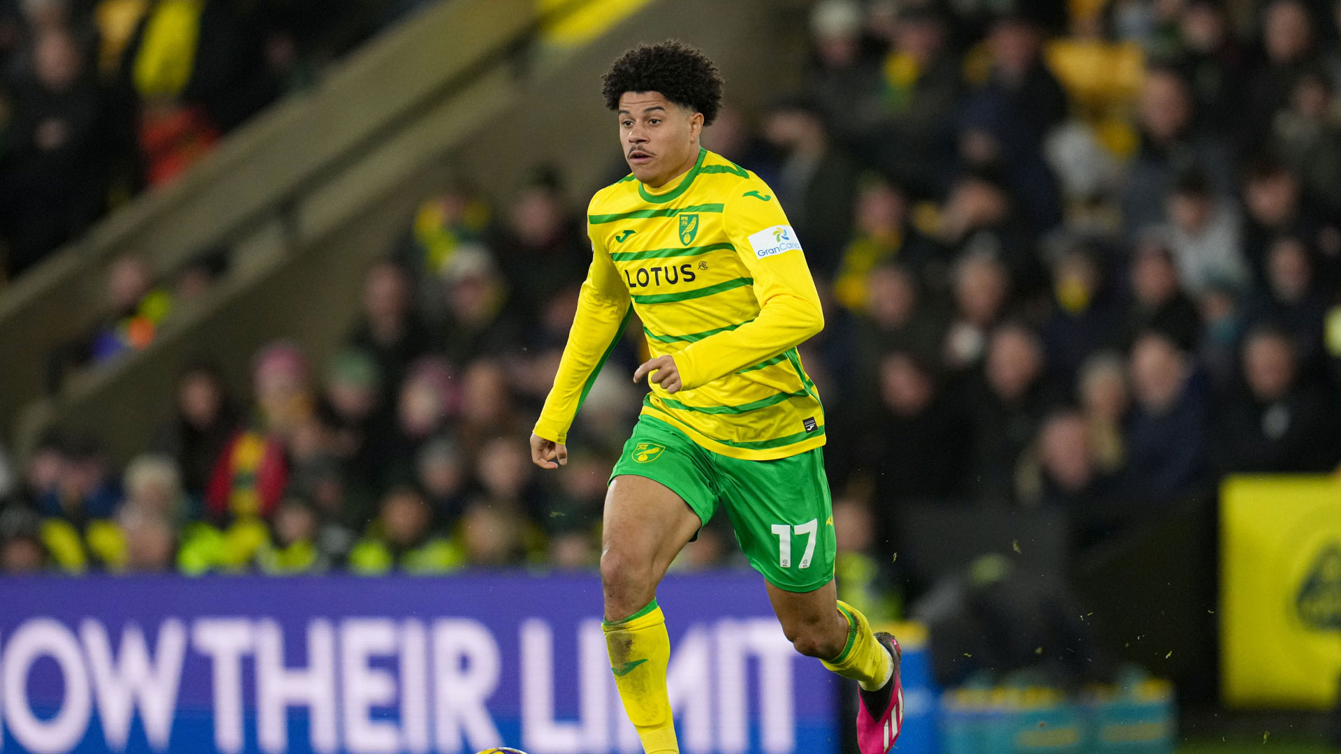 Gabriel Sara in action for Norwich City