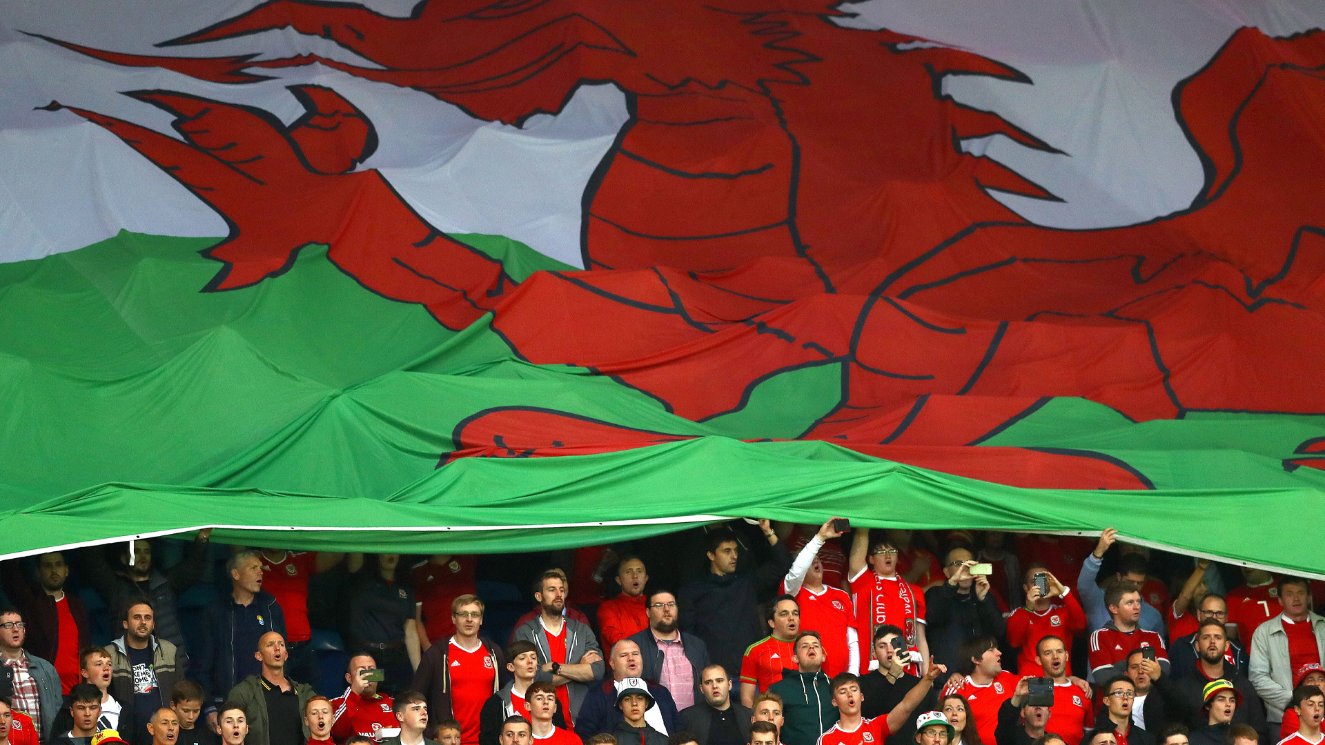 Wales fans inside Cardiff City Stadium