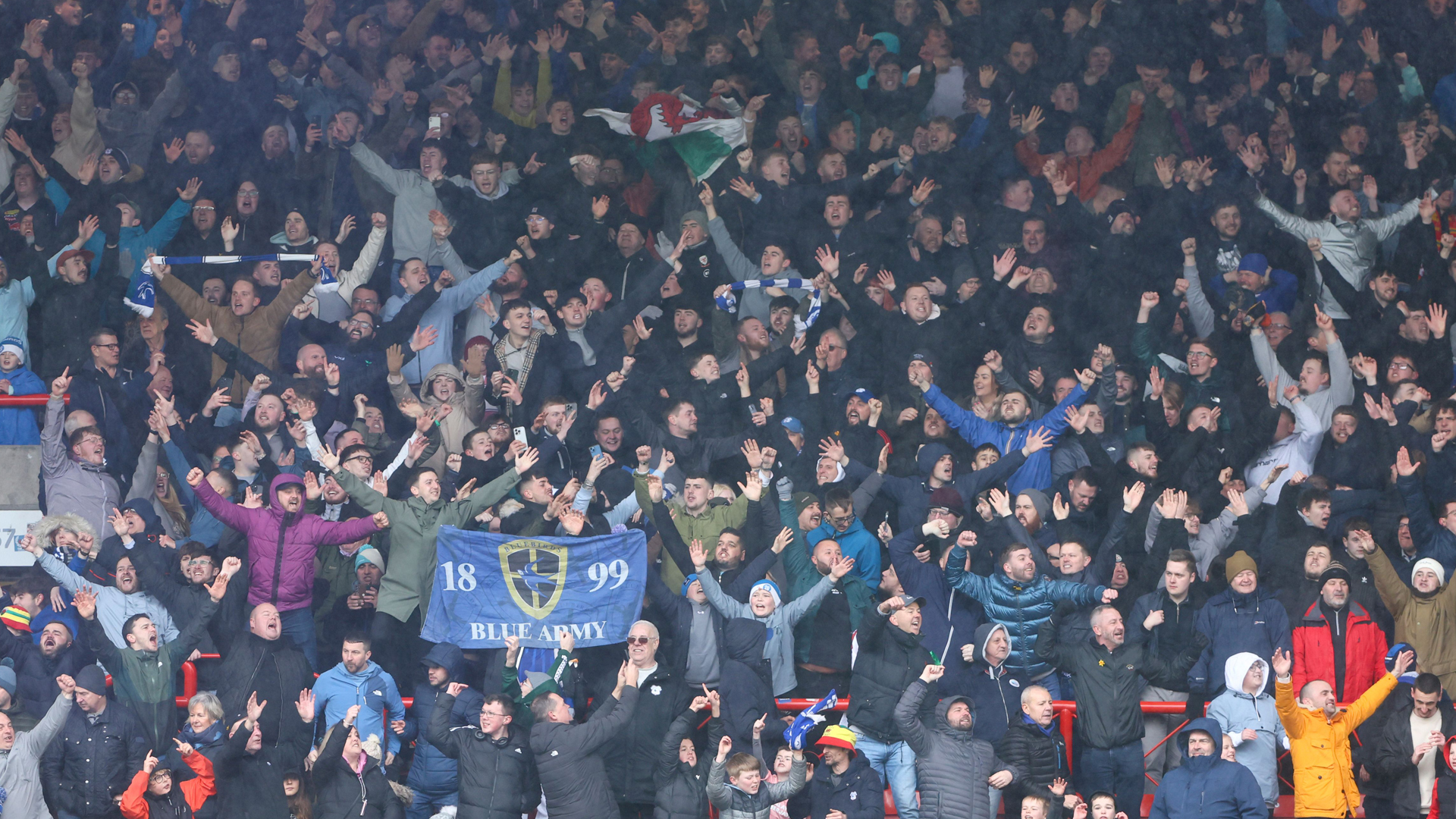 Cardiff City supporters