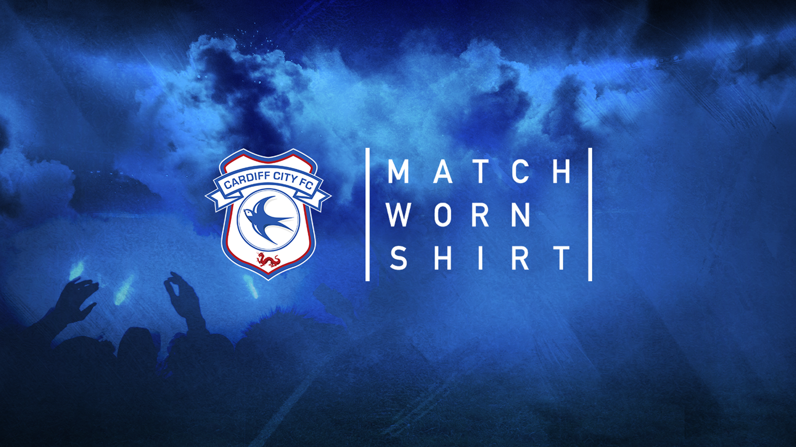 Cardiff City x MatchWornShirt