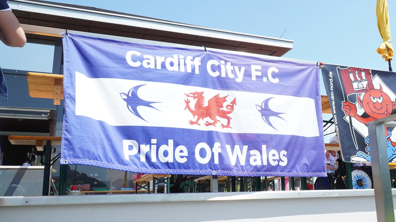 Cardiff City supporters