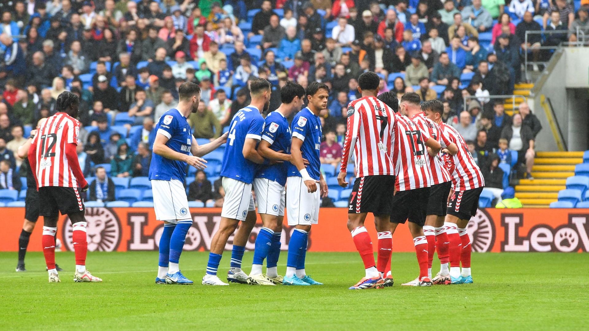 Cardiff City vs. Sunderland