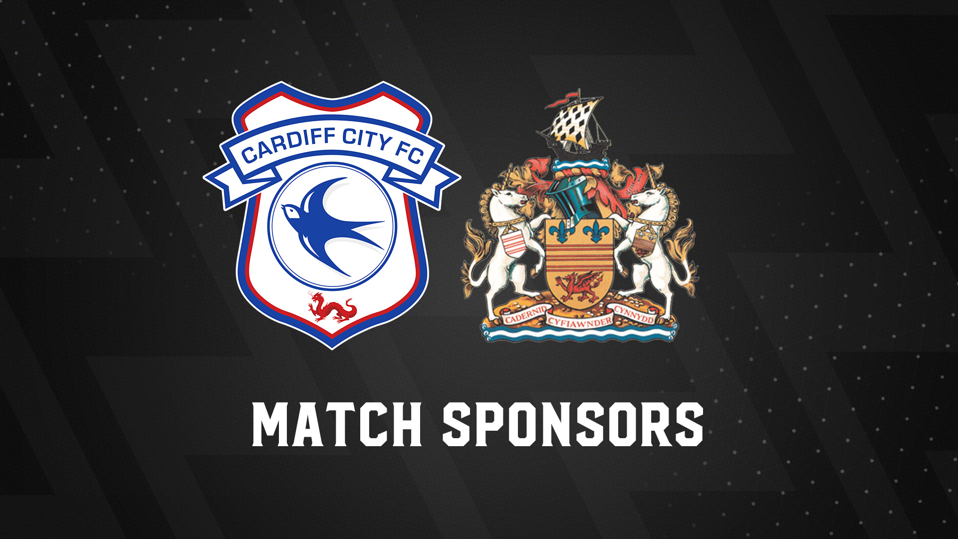 Match Sponsors: Cardiff City vs. Barry Town United